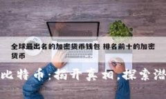 区块链与比特币：揭开真相，探索潜力与风险